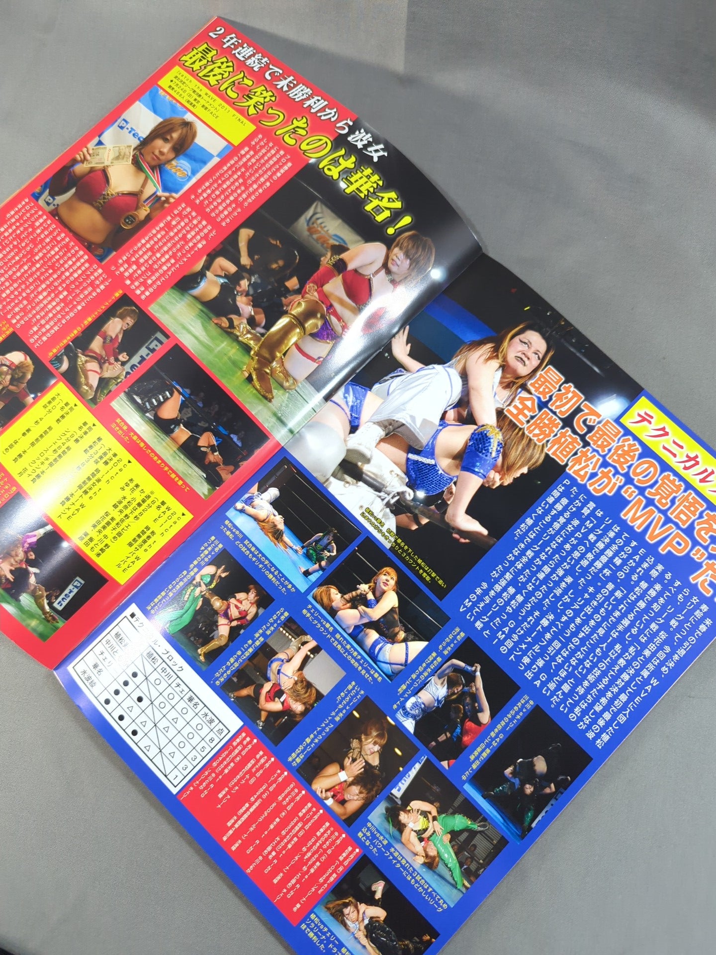プロレスリングWAVE 公式パンフレット vol.47 – 闘道館