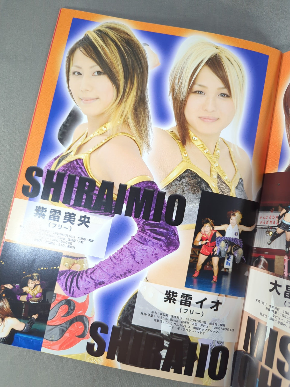 Pro-wrestling  WAVE Official Pamphlet vol.47