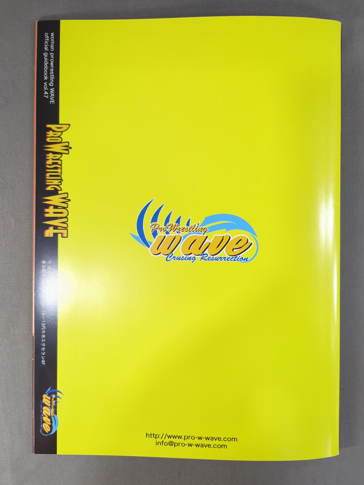 Pro-wrestling  WAVE Official Pamphlet vol.47