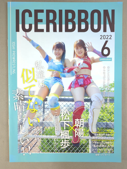 Ice Ribbon Pamphlet (2022/6/26)