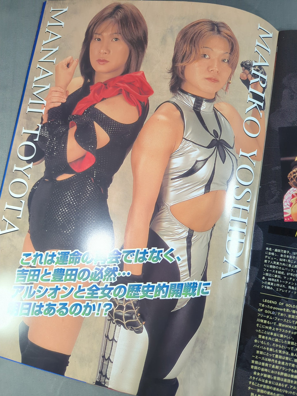 アルシオン オフィシャルガイドブック Vol.23 / CARNIVAL ARSION 2001