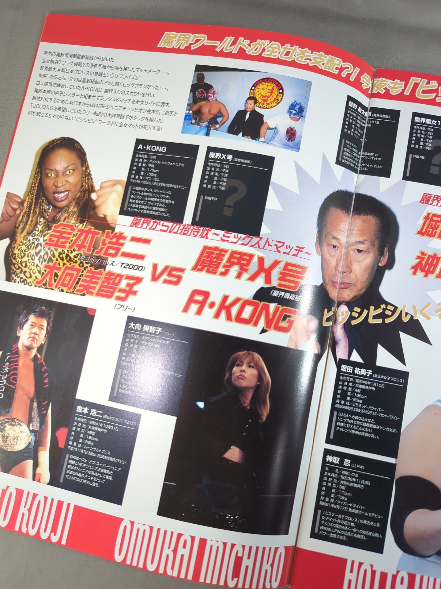 ☆全日本女子プロレス創立35周年記念大会☆ THE FUTURE – 闘道館
