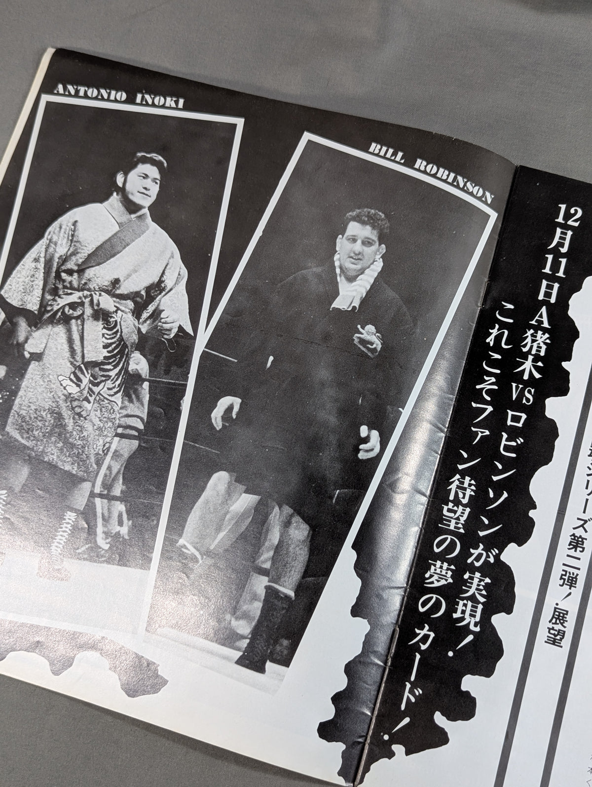 ★ Inoki vs Robinson NWF ★ 75 Fighting Spirits Series Part 2