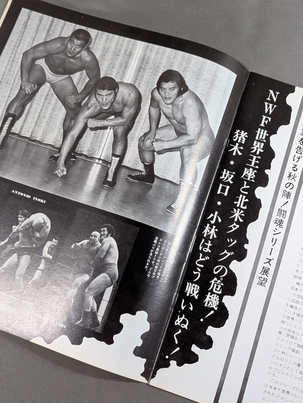 ★ Inoki vs Lou Thesz NWF Match ★ 75 Fighting Spirit Series Part 1 [Final Match]