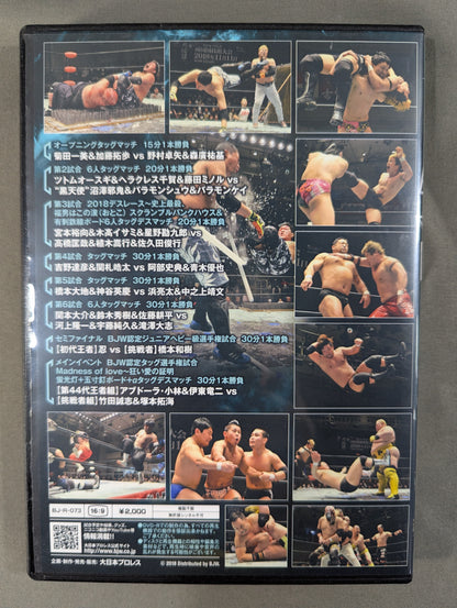 ②BJW 01/25 後楽園ホール2018