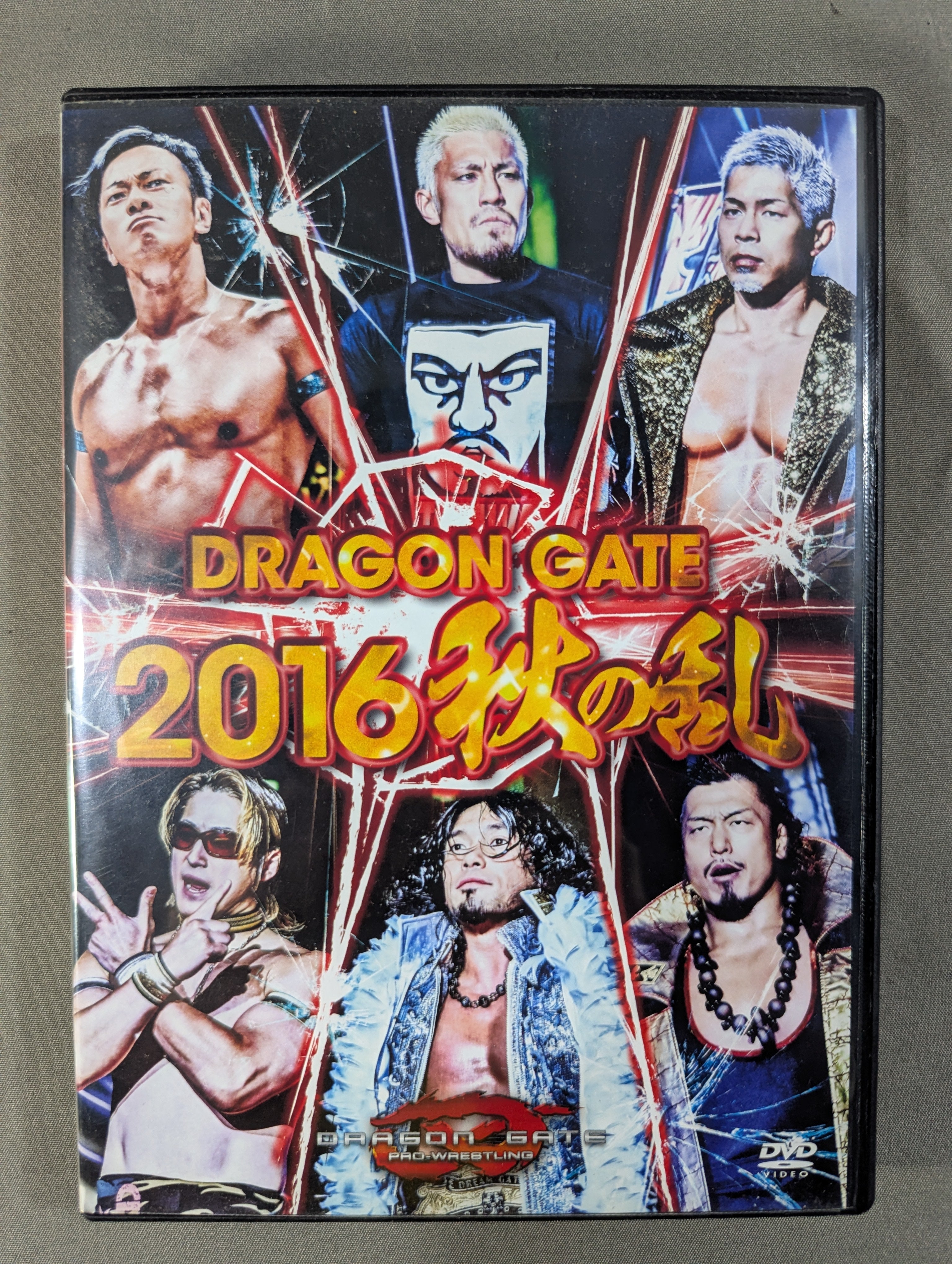 DVD – 闘道館