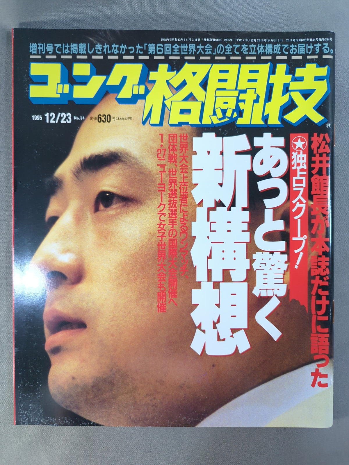 ゴング格闘技384