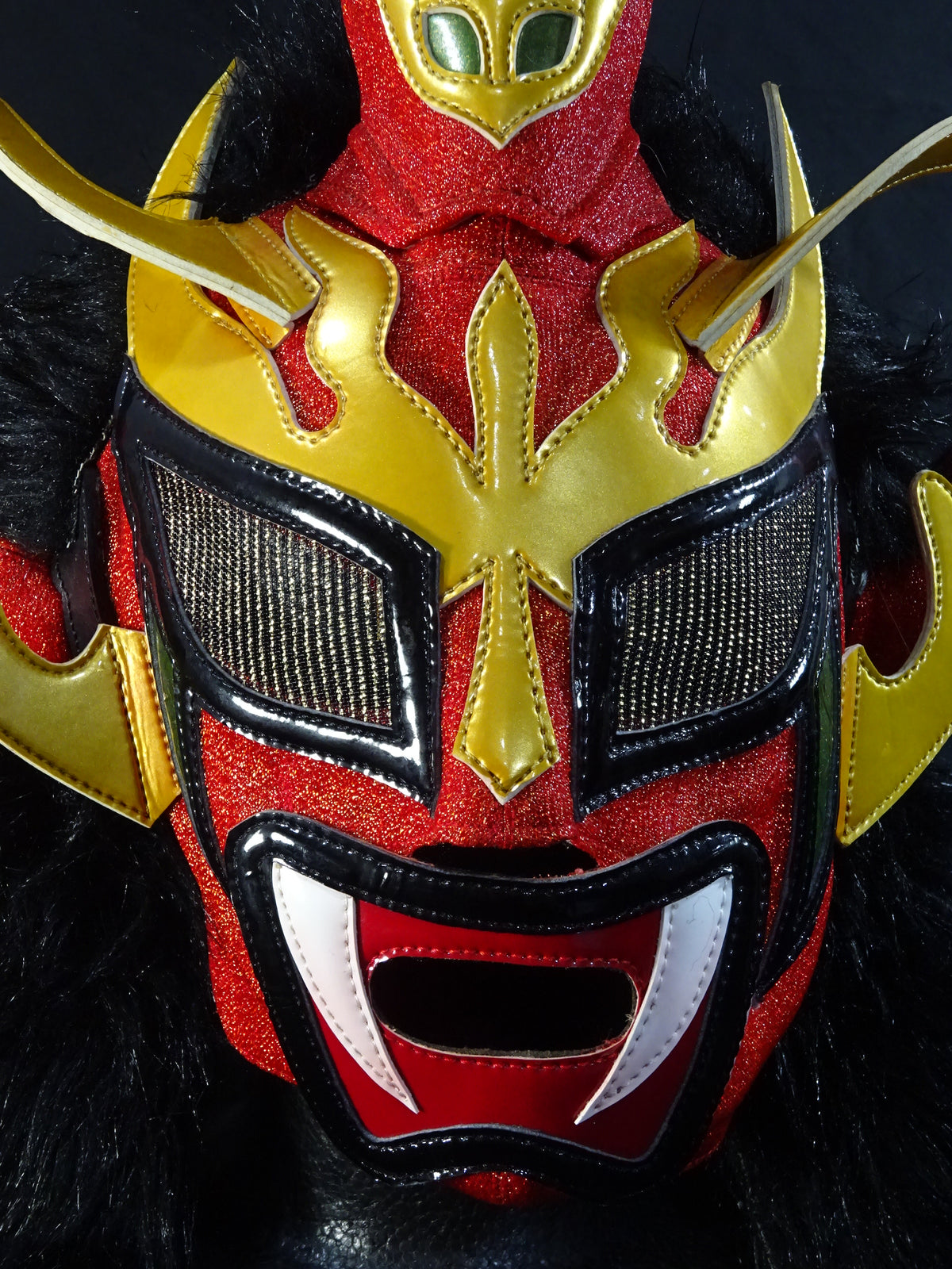 獣神サンダー・ライガー