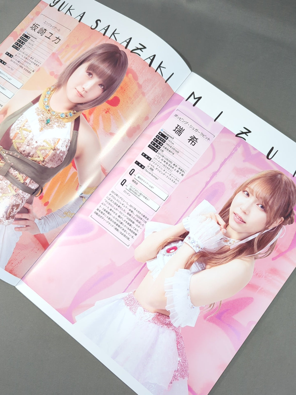 東京女子プロレス オフィシャルプログラム TJPW Vol.16