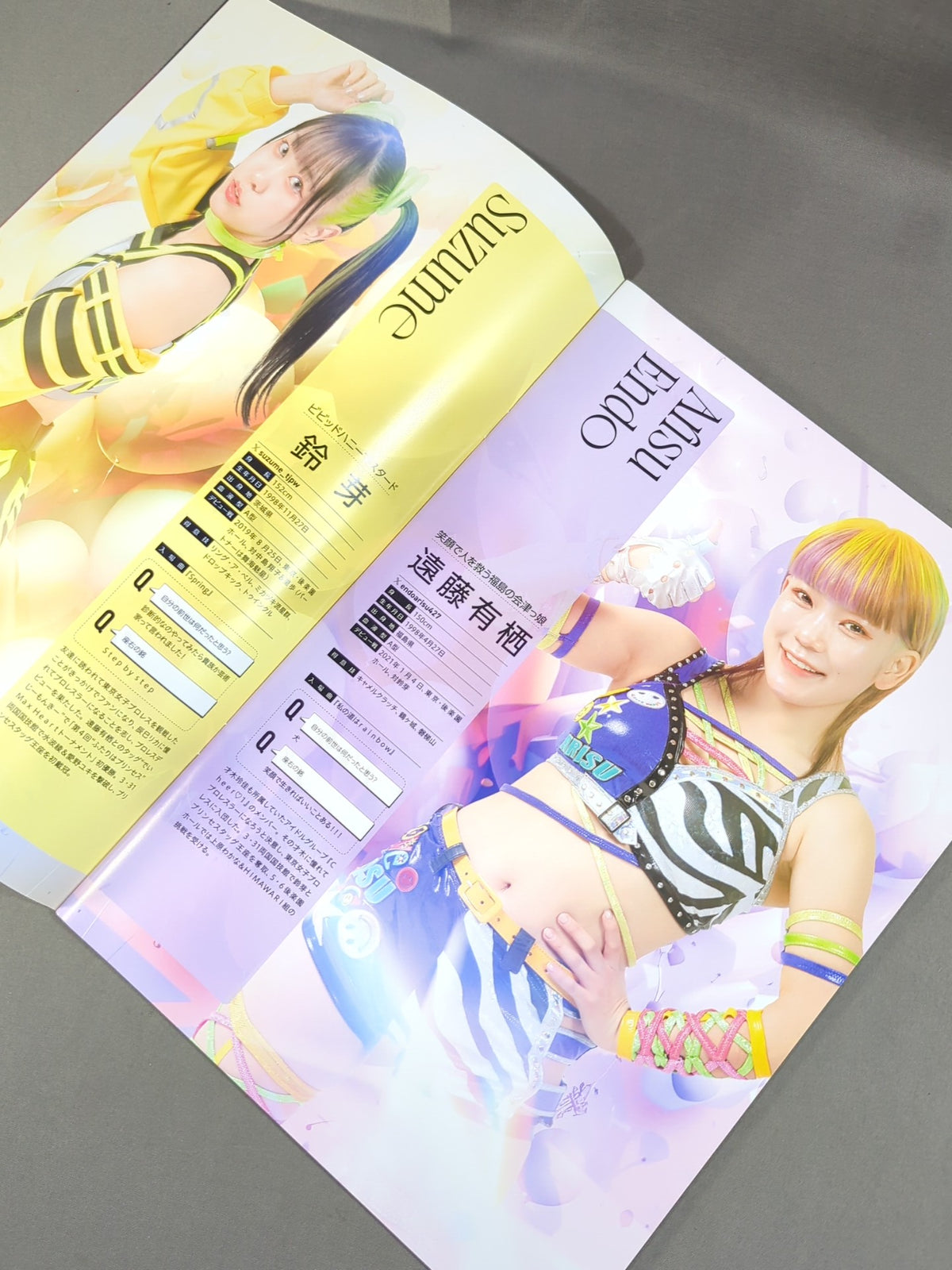 東京女子プロレス オフィシャルプログラム TJPW Vol.22