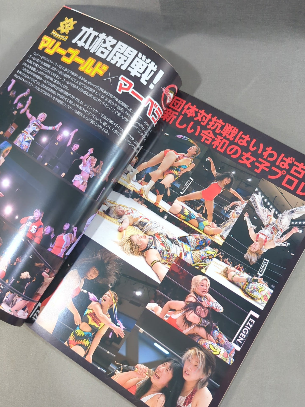 マリーゴールド / MARIGOLD GUIDE BOOK Vol.10