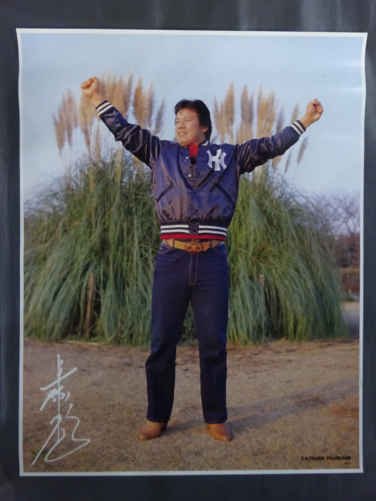 Tatsumi Fujinami  GONG JUMBO PIN-UP Wrestling  SELECTION