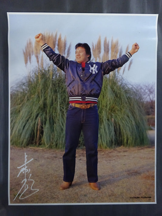 藤波辰巳 GONG JUMBO PIN-UP WRESTLING SELECTION