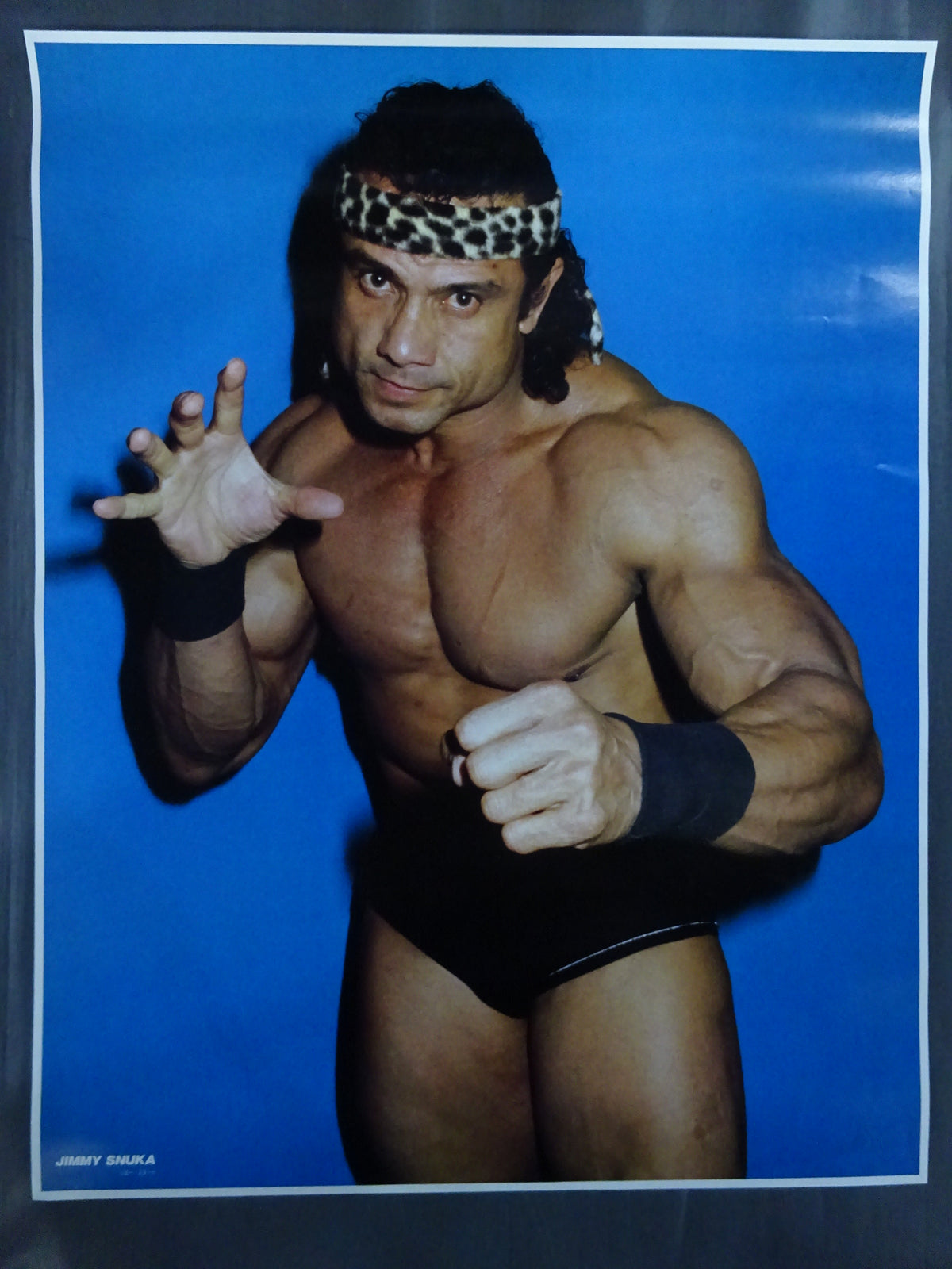 Jimmy Snuka  GONG JUMBO PIN-UP Wrestling  SELECTION
