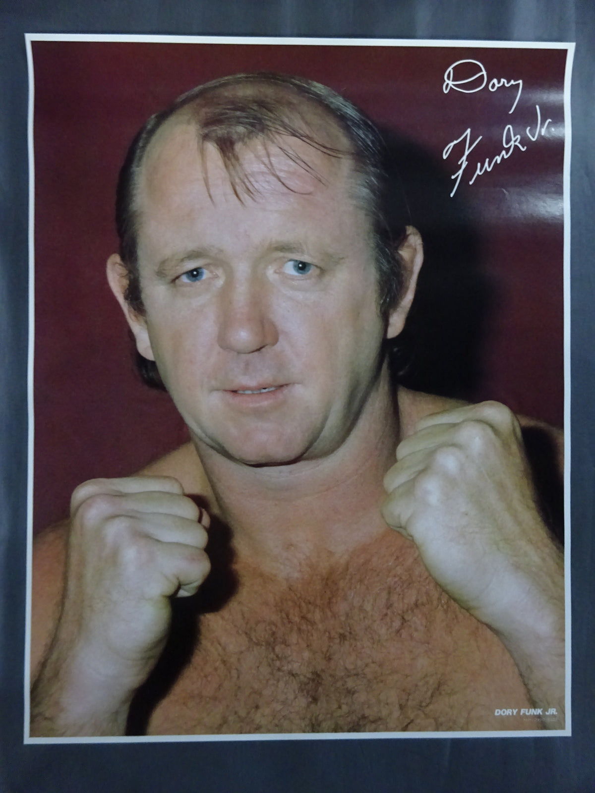 ドリー・ファンク・ジュニア GONG JUMBO PIN-UP WRESTLING SELECTION