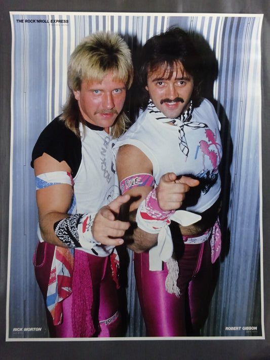 ザ・ロックンロール・エキスプレス GONG JUMBO PIN-UP WRESTLING SELECTION