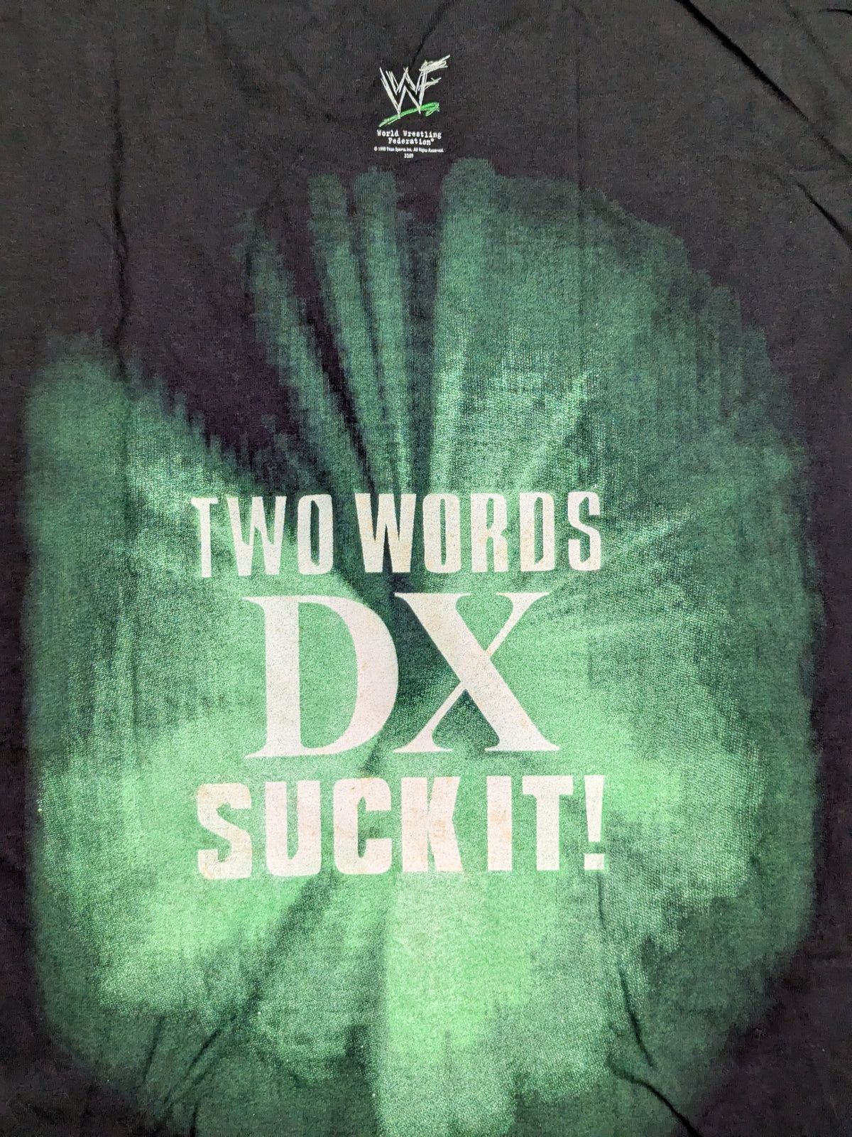 D-GENERATION X「TWO WORDS SUCK IT!」ピクチャーTシャツ(WWF(1998) / ブラック)