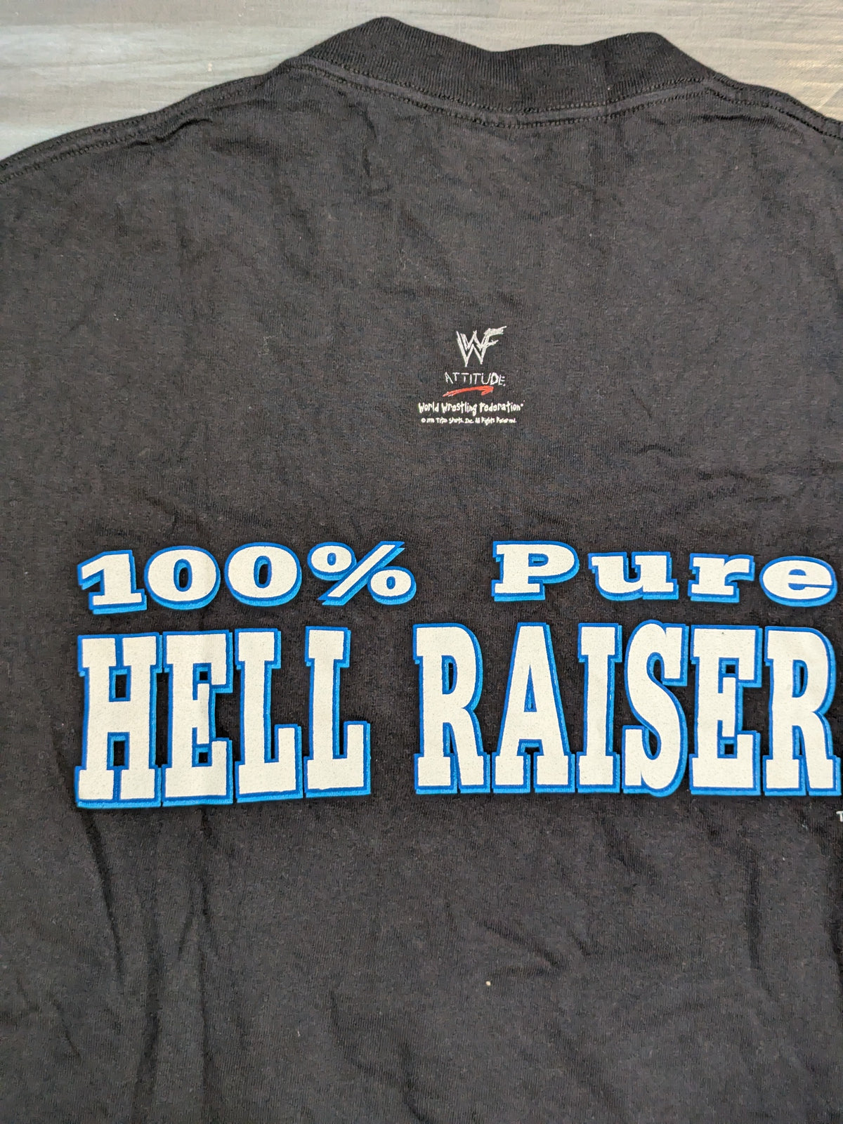 Stone Cold Steve Austin "100% Pure HELL RAISER" Illustrated T-Shirt (WWF (1990s) / Black)