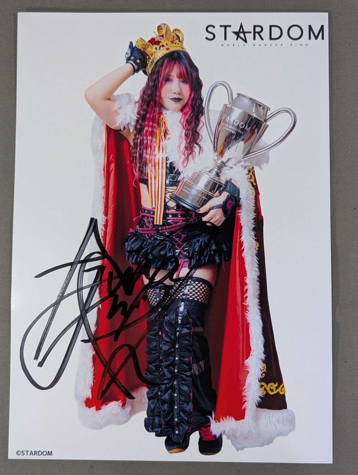 RINA 5★STAR GP 2026 Victory Commemorative Pro-Photo
