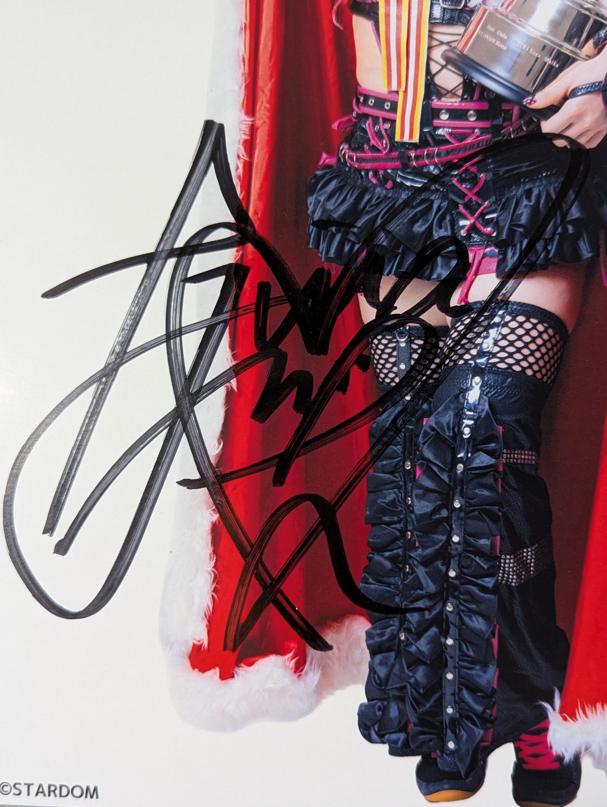 RINA 5★STAR GP 2026 Victory Commemorative Pro-Photo