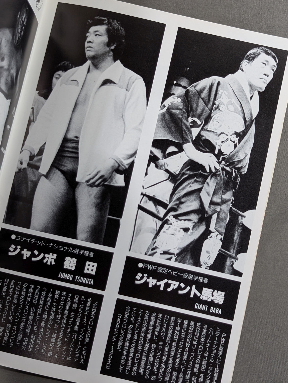 ★ Pro Wrestling Dream All-Star Match ★ Tokyo Sports Shimbun 20th Anniversary