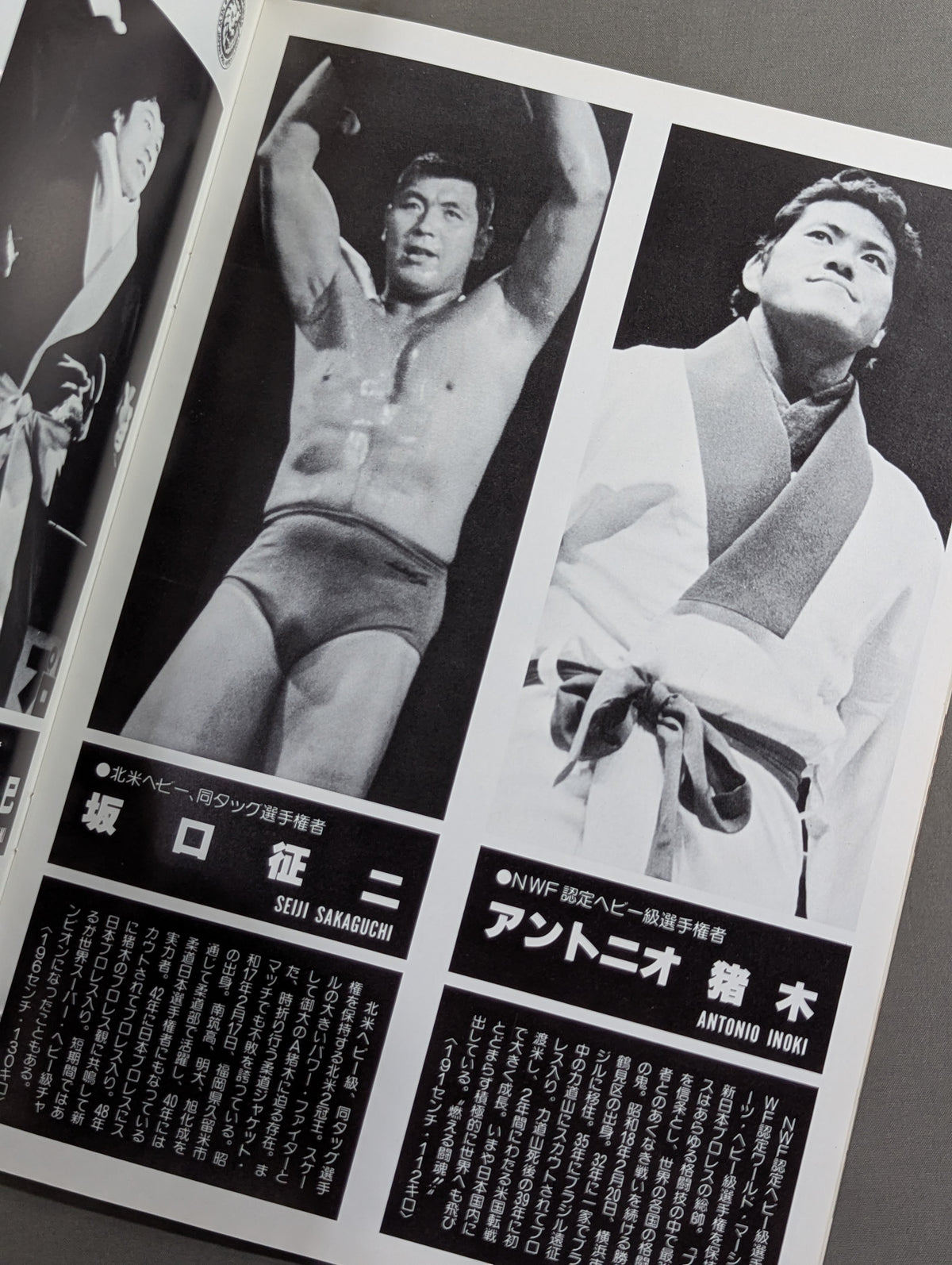 ★ Pro Wrestling Dream All-Star Match ★ Tokyo Sports Shimbun 20th Anniversary