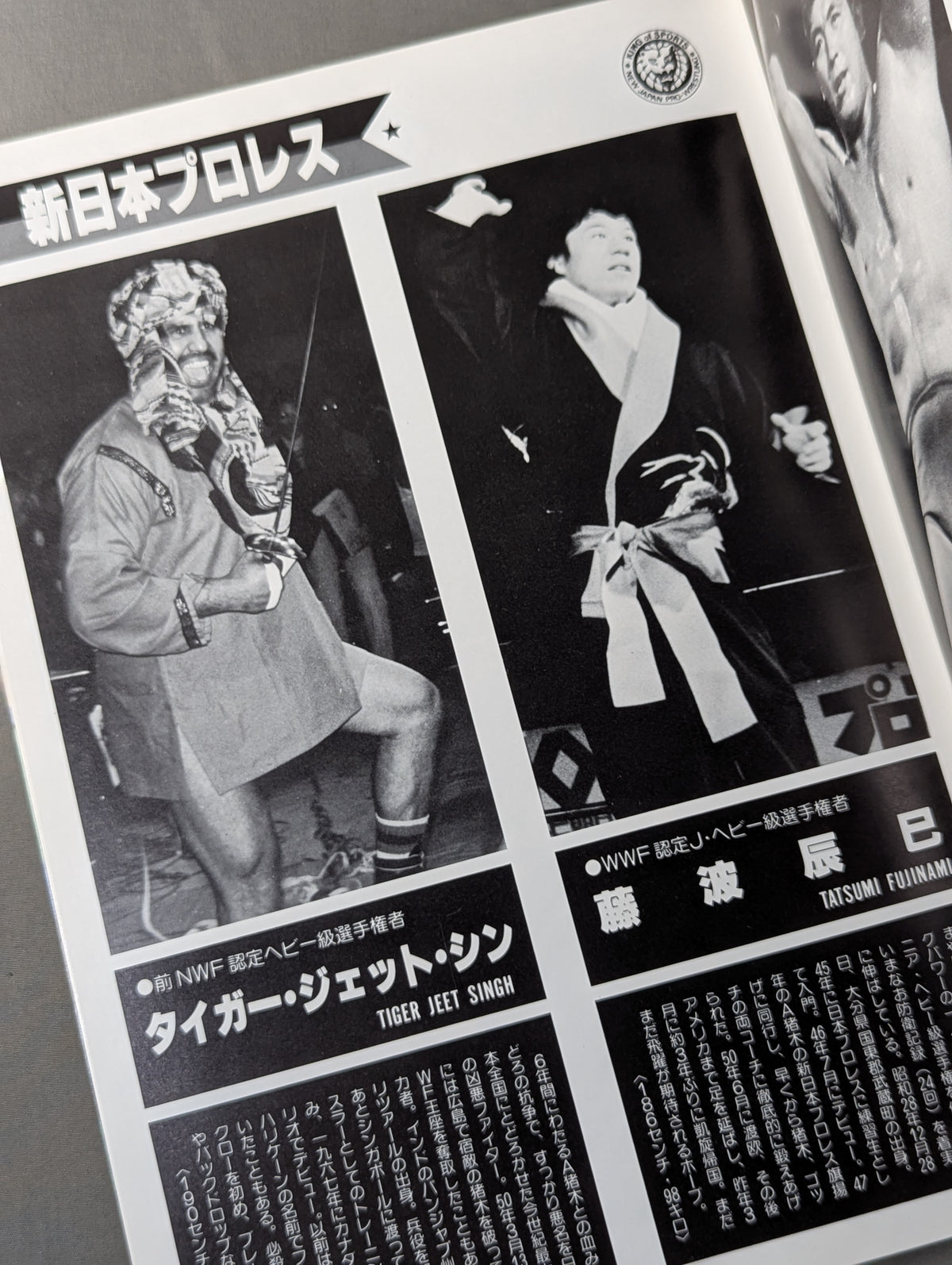★ Pro Wrestling Dream All-Star Match ★ Tokyo Sports Shimbun 20th Anniversary