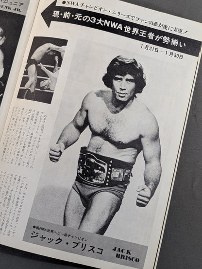 74新春NWAシリーズ / 新春NWAチャンピオン・シリーズ