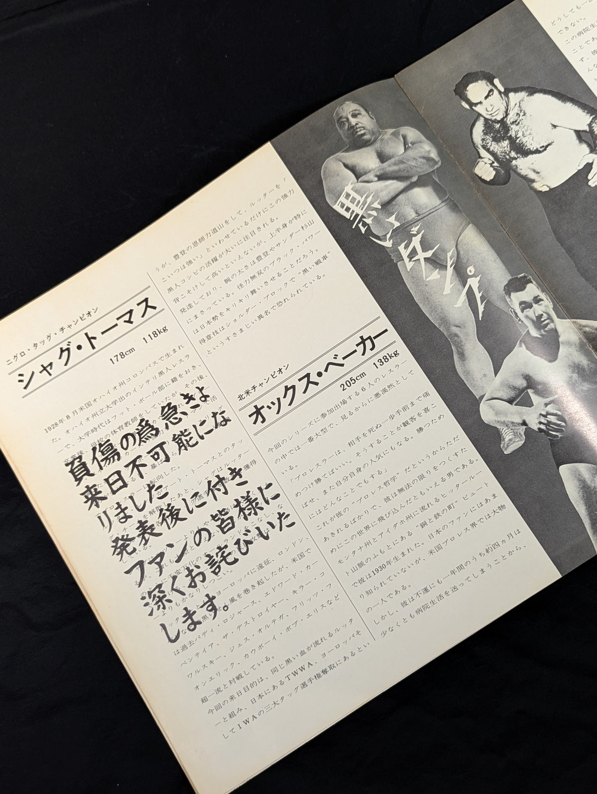 【半券付】69ビッグ・サマー・シリーズ