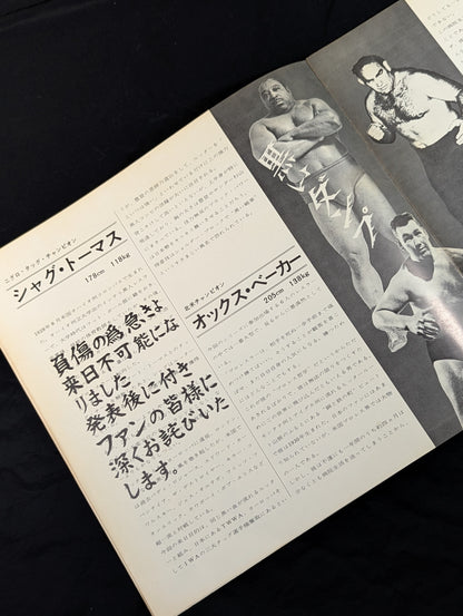 【半券付】69ビッグ・サマー・シリーズ