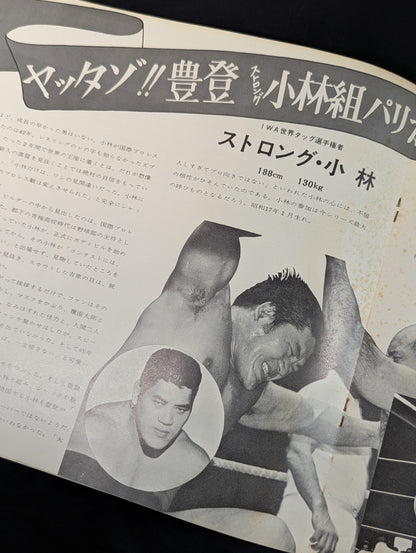 【半券付】69ビッグ・サマー・シリーズ
