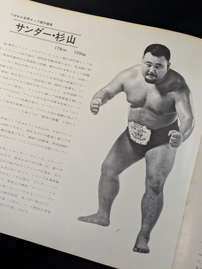 【半券付】69ビッグ・サマー・シリーズ