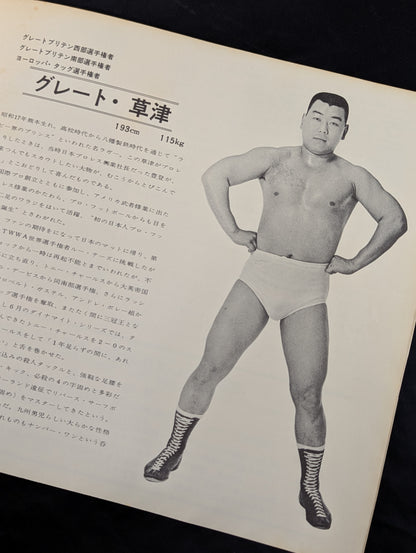 【半券付】69ビッグ・サマー・シリーズ