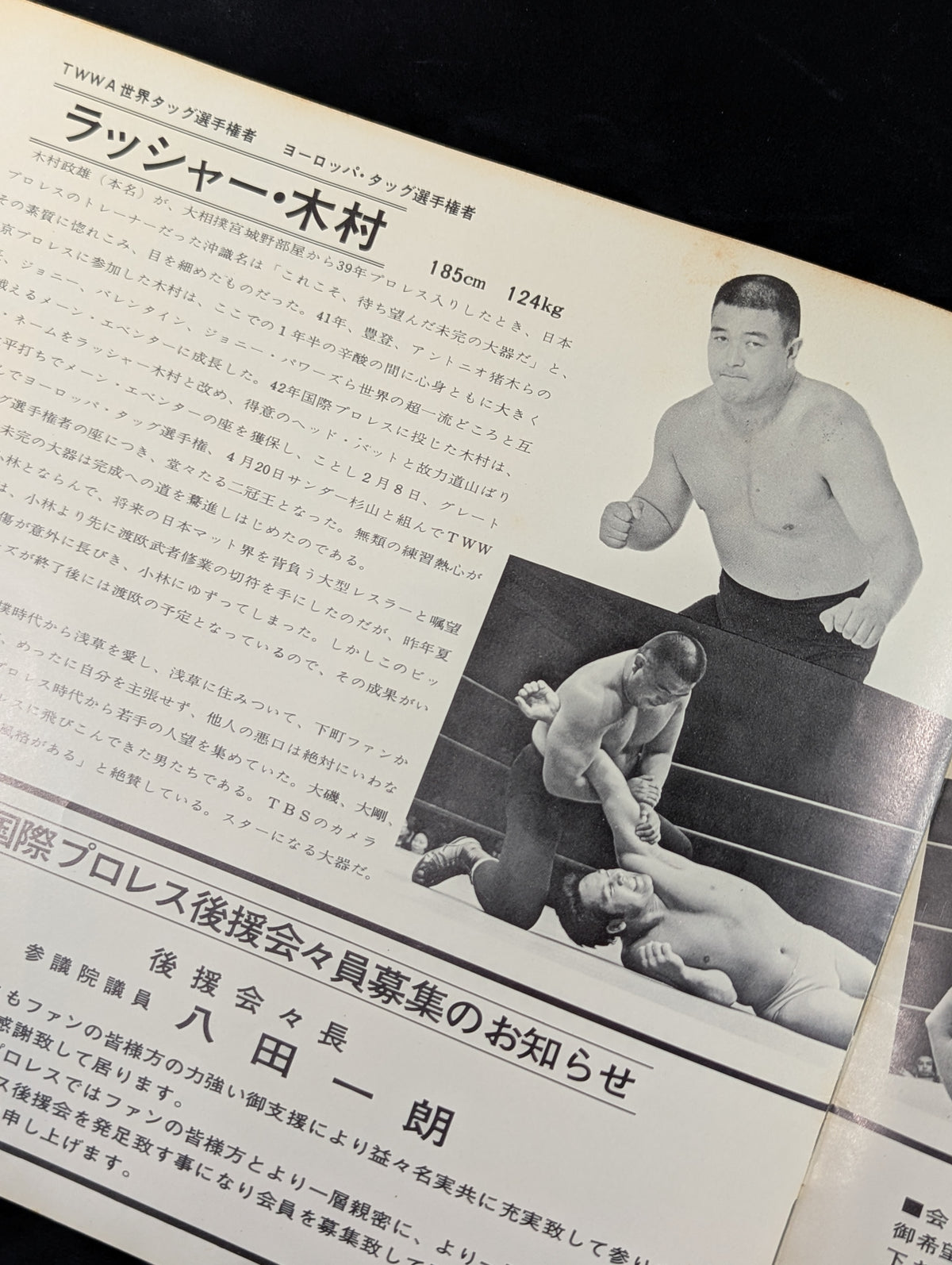 【半券付】69ビッグ・サマー・シリーズ