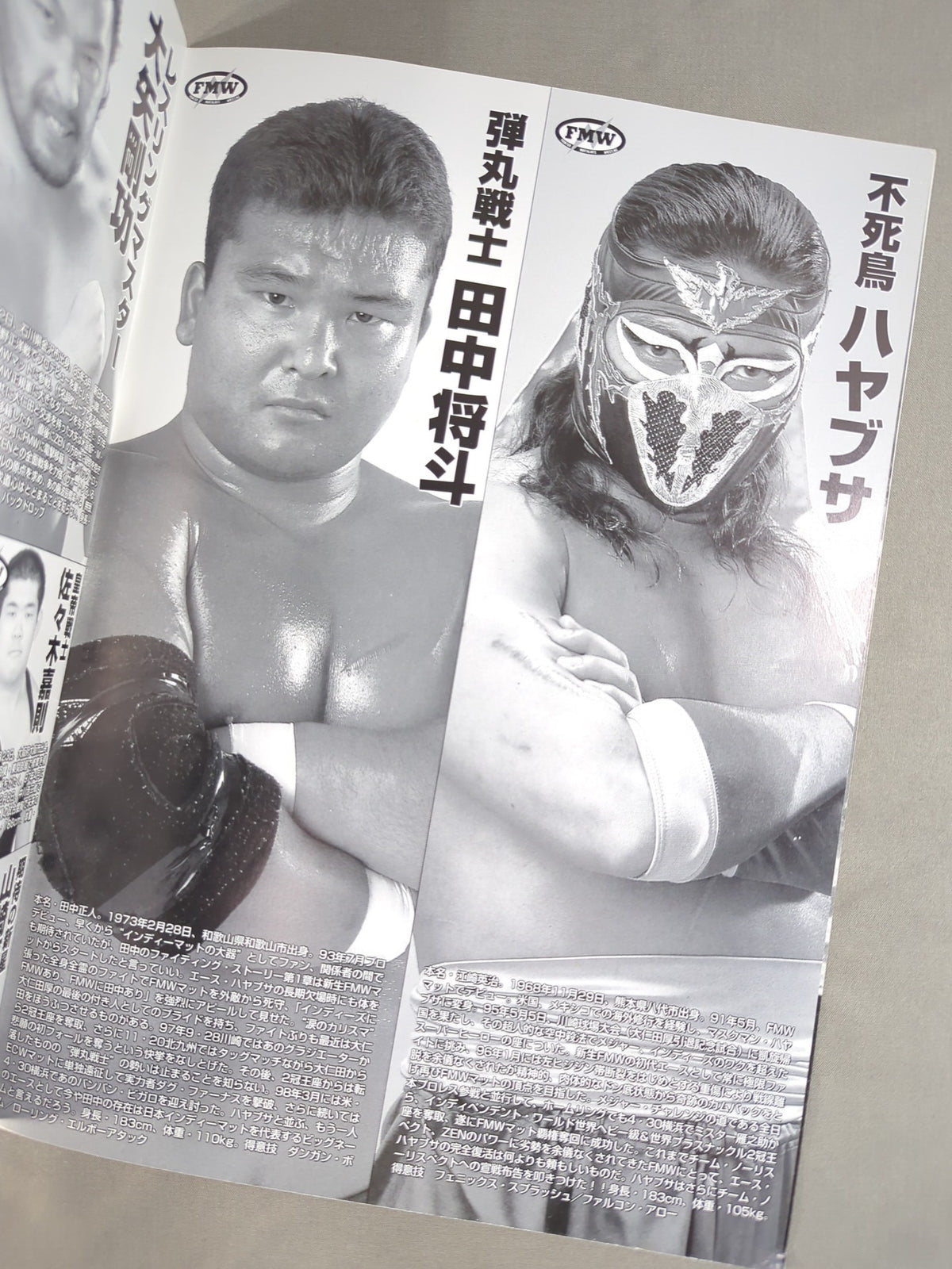 FMW OFFICIAL GUIDE BOOK 1998 Vol.2