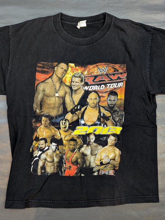 RAW WORLD TOUR 2013 ピクチャーTシャツ(WWE(2013) / ブラック)