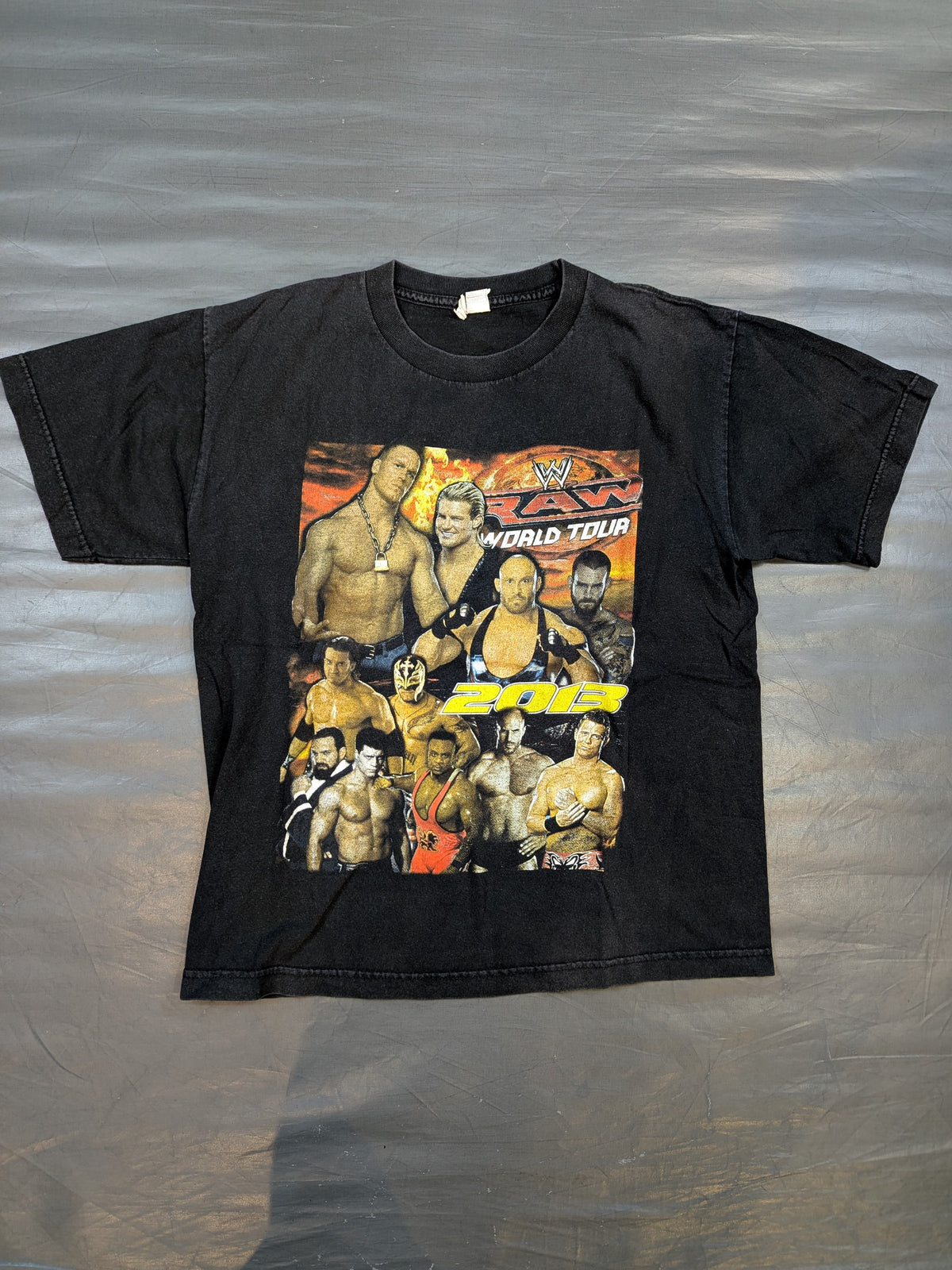 RAW WORLD TOUR 2013 ピクチャーTシャツ(WWE(2013) / ブラック)