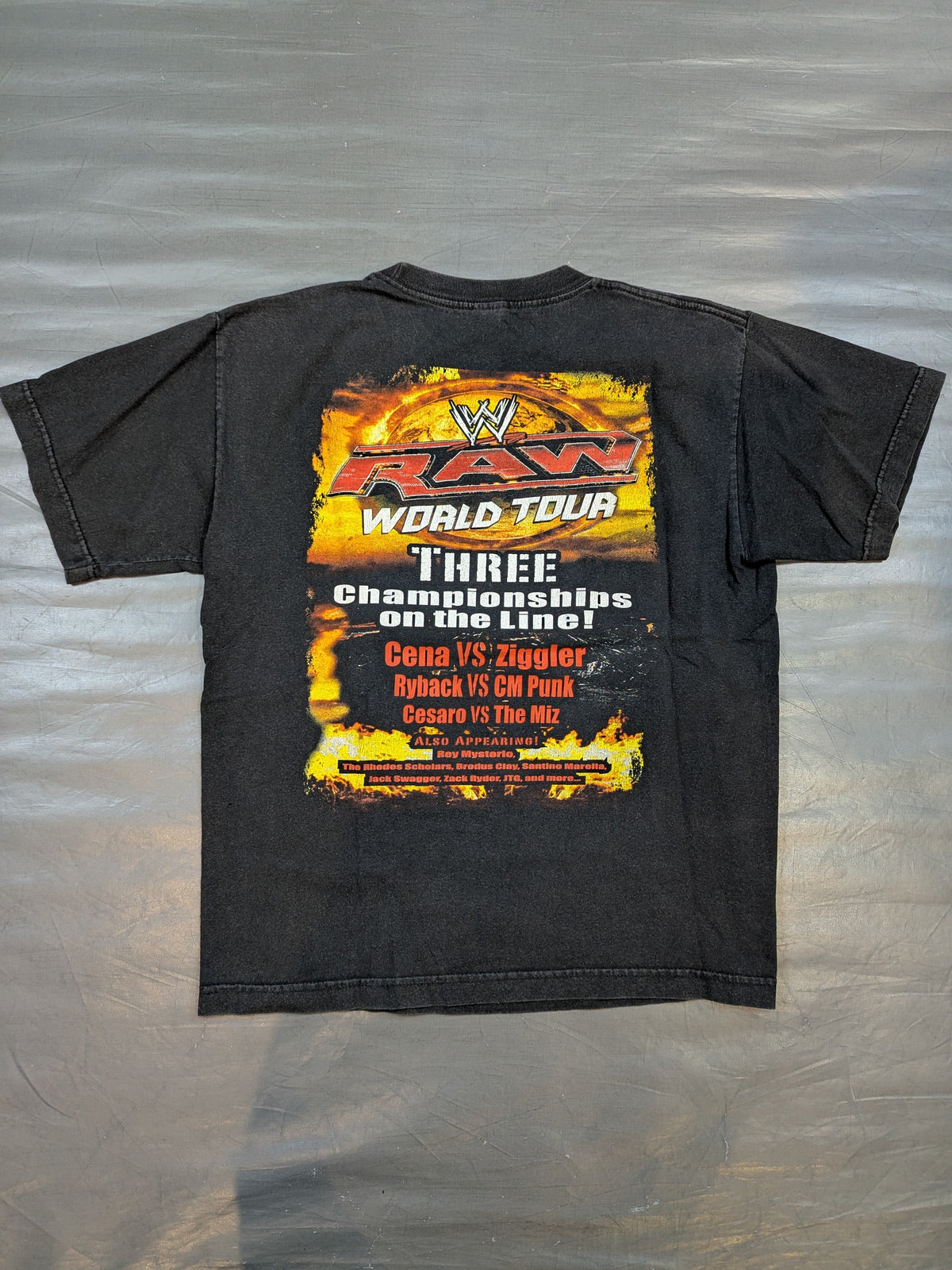 RAW WORLD TOUR 2013 ピクチャーTシャツ(WWE(2013) / ブラック)