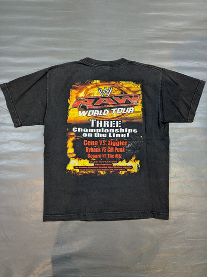 RAW WORLD TOUR 2013 ピクチャーTシャツ(WWE(2013) / ブラック)