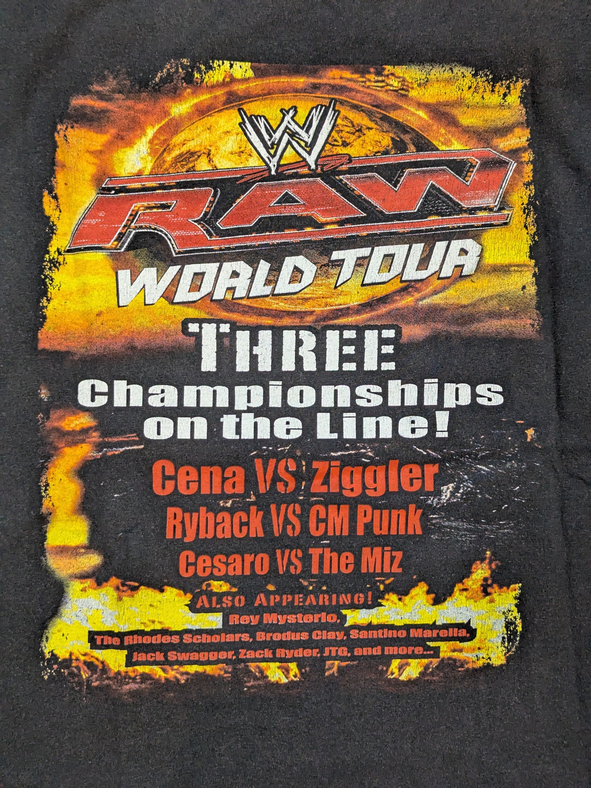 RAW WORLD TOUR 2013 ピクチャーTシャツ(WWE(2013) / ブラック)