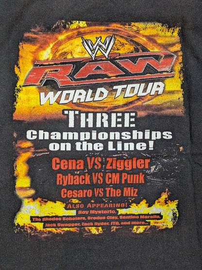 RAW WORLD TOUR 2013 ピクチャーTシャツ(WWE(2013) / ブラック)