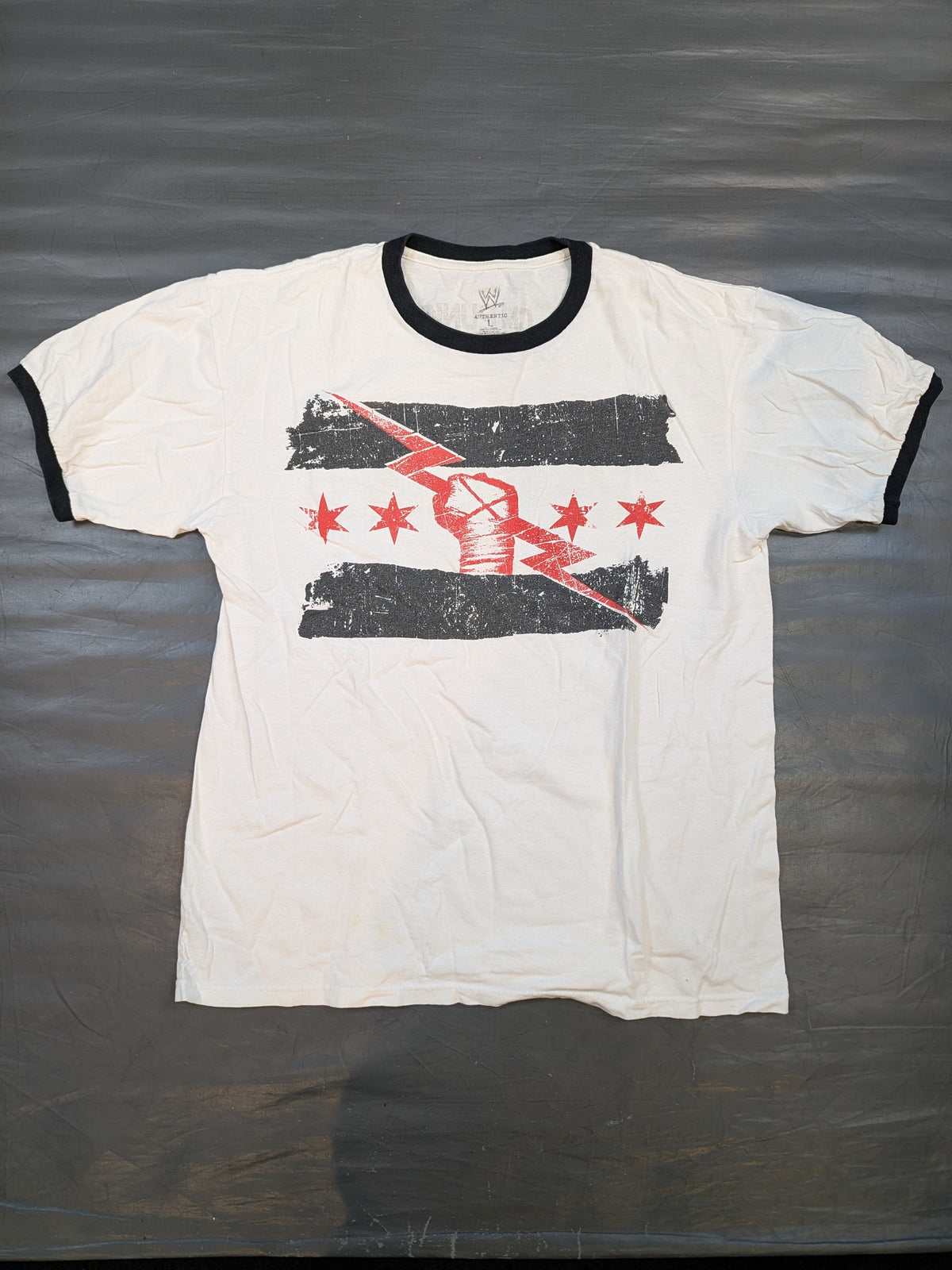 CM Punk "BEST IN THE WORLD" T-shirt (WWE (2010s) / White)