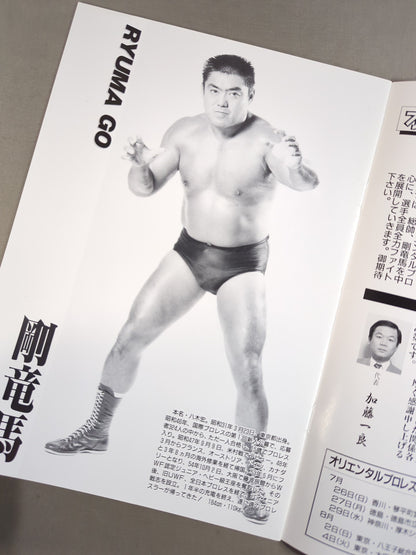 オリエンタルプロレス 旗上げ記念シリーズ1