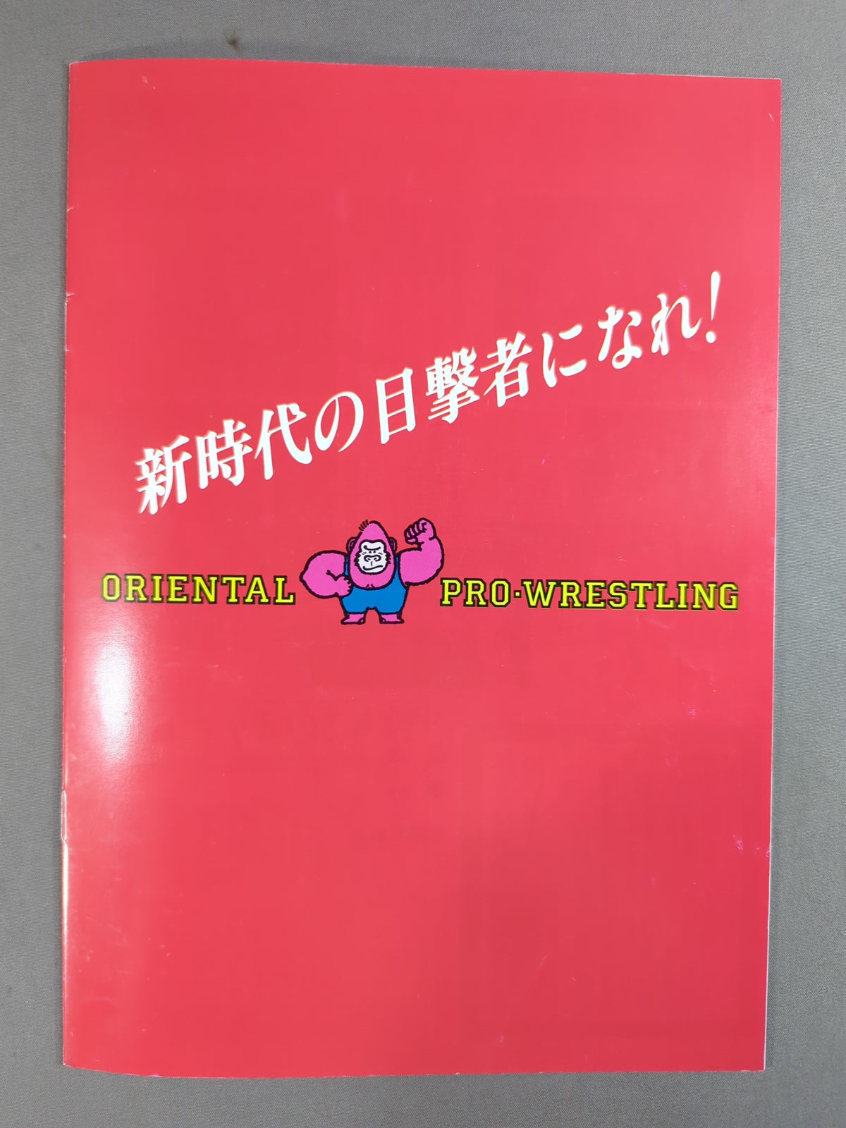 オリエンタルプロレス 旗上げ記念シリーズ1