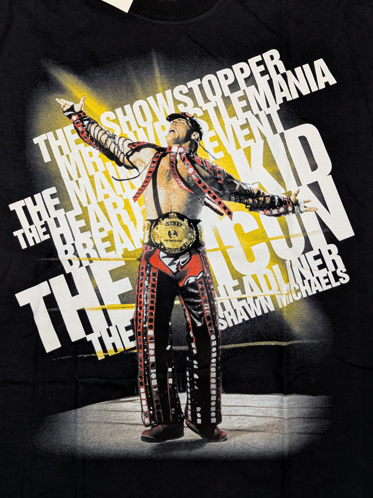 Sean Michaels 'HALL OF FAME' Picture T-Shirt (WWE (2011) / Black)