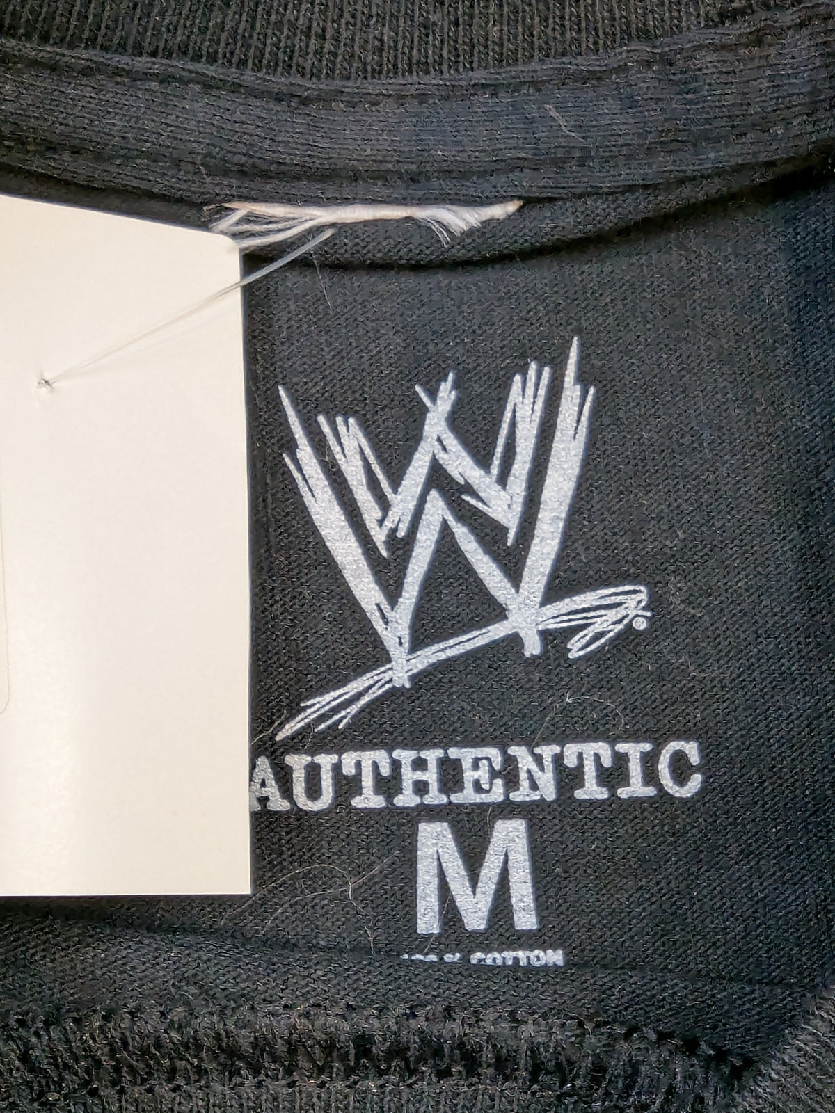 Sean Michaels 'HALL OF FAME' Picture T-Shirt (WWE (2011) / Black)