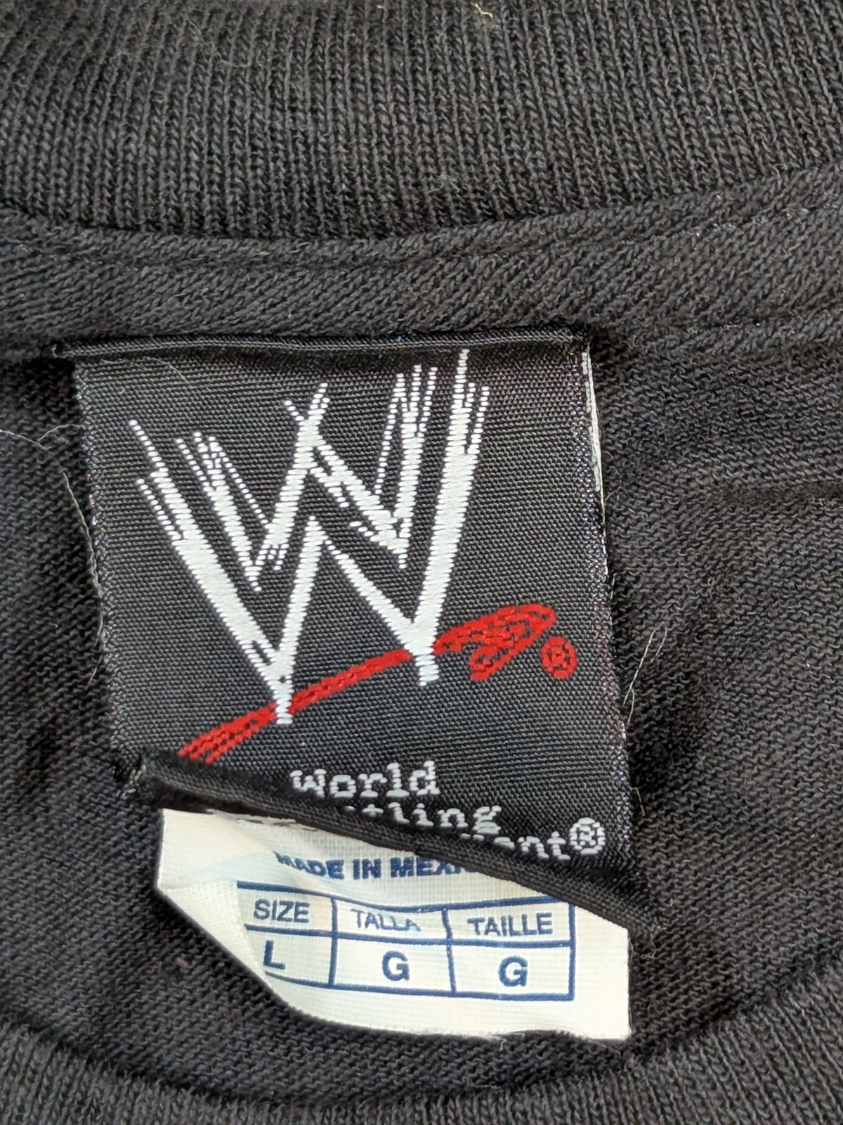 ザ・ロック ピクチャーTシャツ②(WWE(2010s) / ブラック)