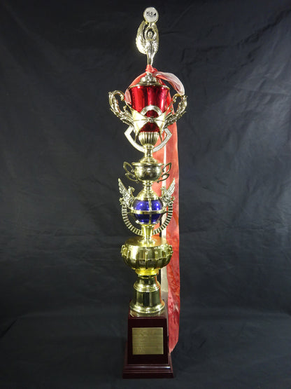 卜部功也 2018年6月17日 K-1 WGP スーパーファイト 勝利者トロフィー