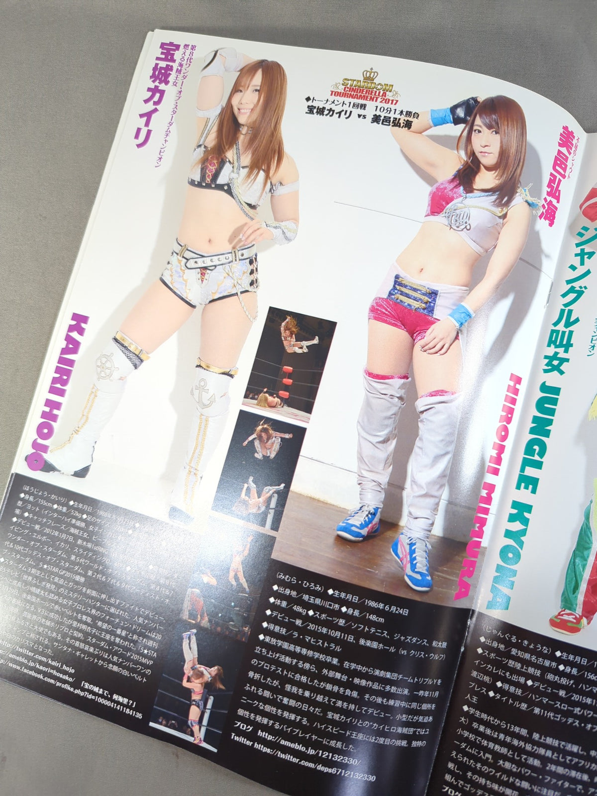 STARDOM OFFICIAL GUIDE BOOK Vol.92