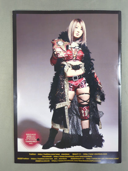 STARDOM OFFICIAL GUIDE BOOK Vol.92